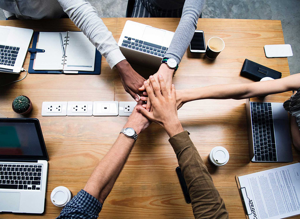 Utensílios de cozinha Co. de Ningbo Leer, Ltd.